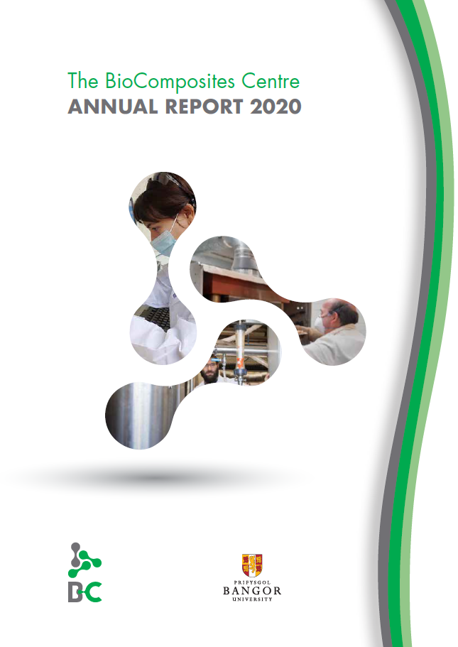 Annual Report 2020